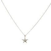 Diamond Star Necklace